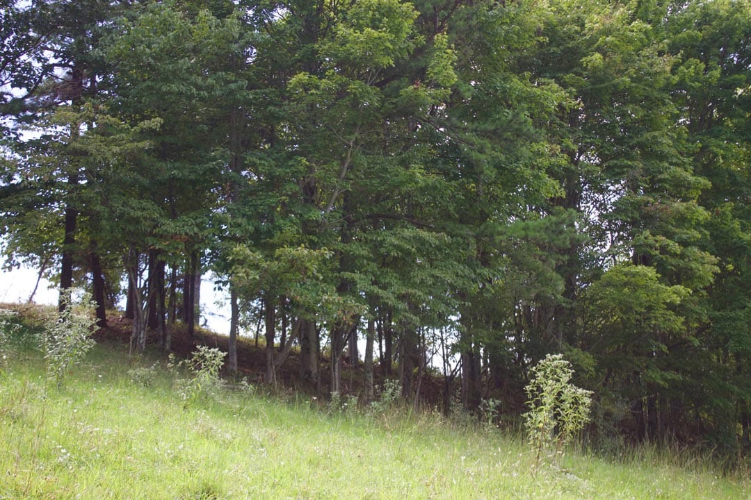Heritage Hollow Tract 14 photo 6