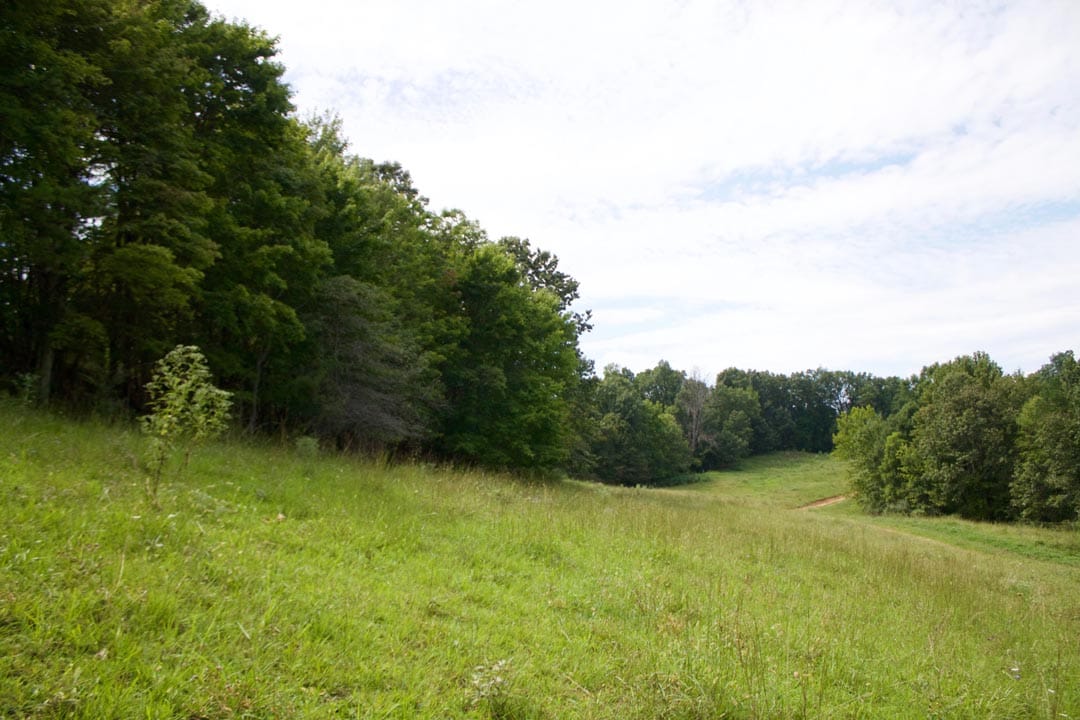Heritage Hollow Tract 14 photo 7