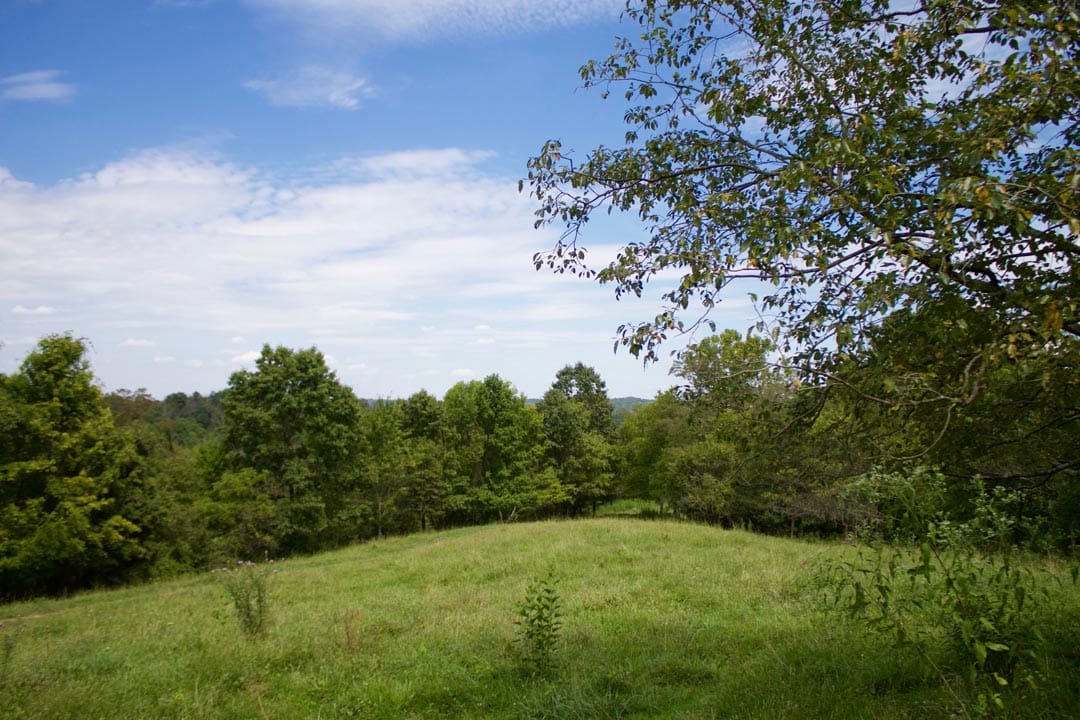 Heritage Hollow Tract 14 photo 8