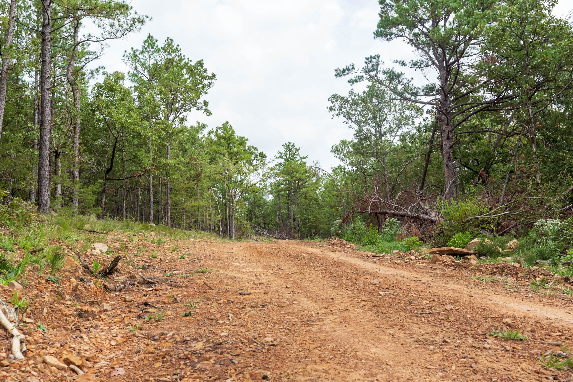 Stone Bridge Phase V Tract 360 photo 8