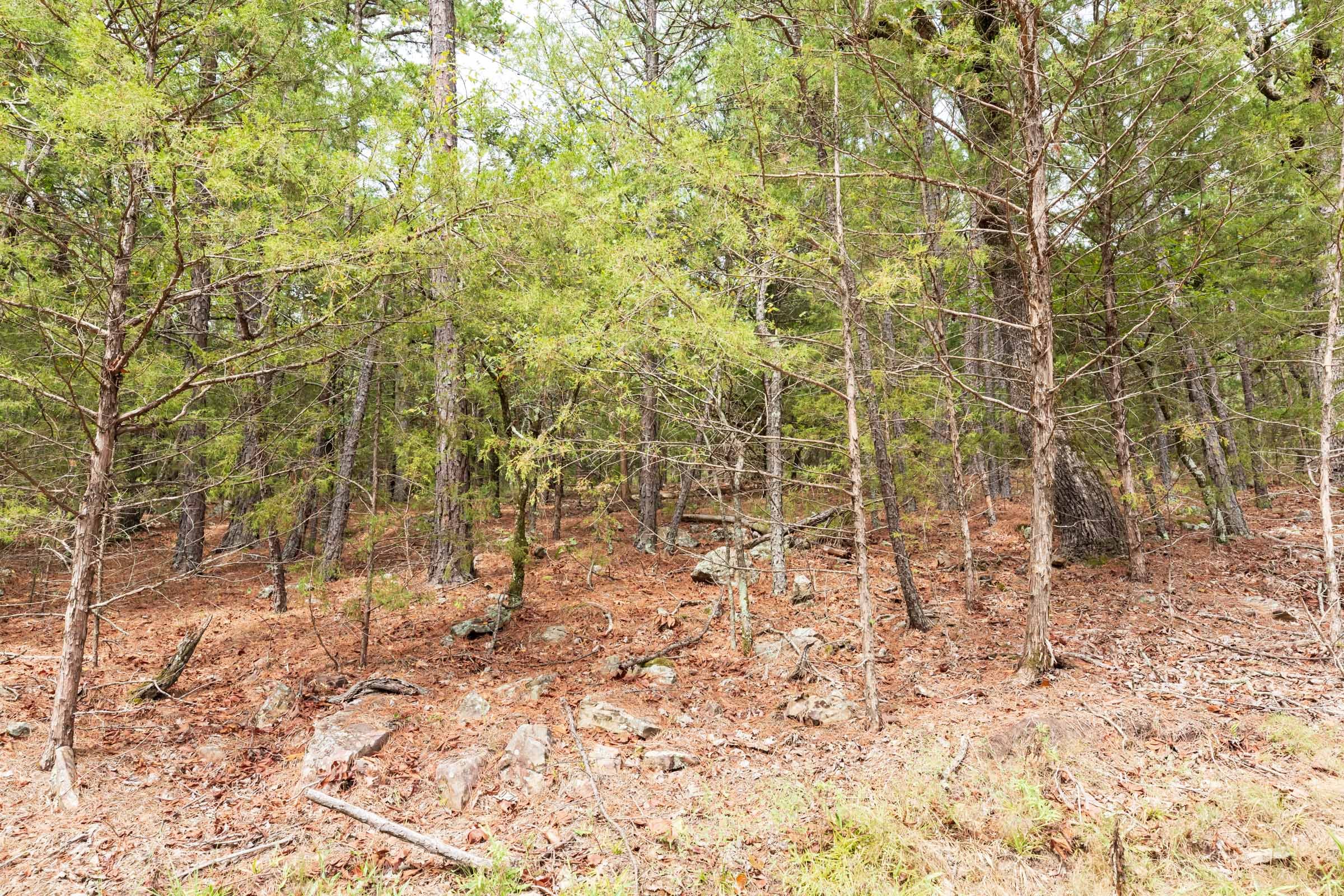 Stone Bridge Phase V Tract 360 photo 2