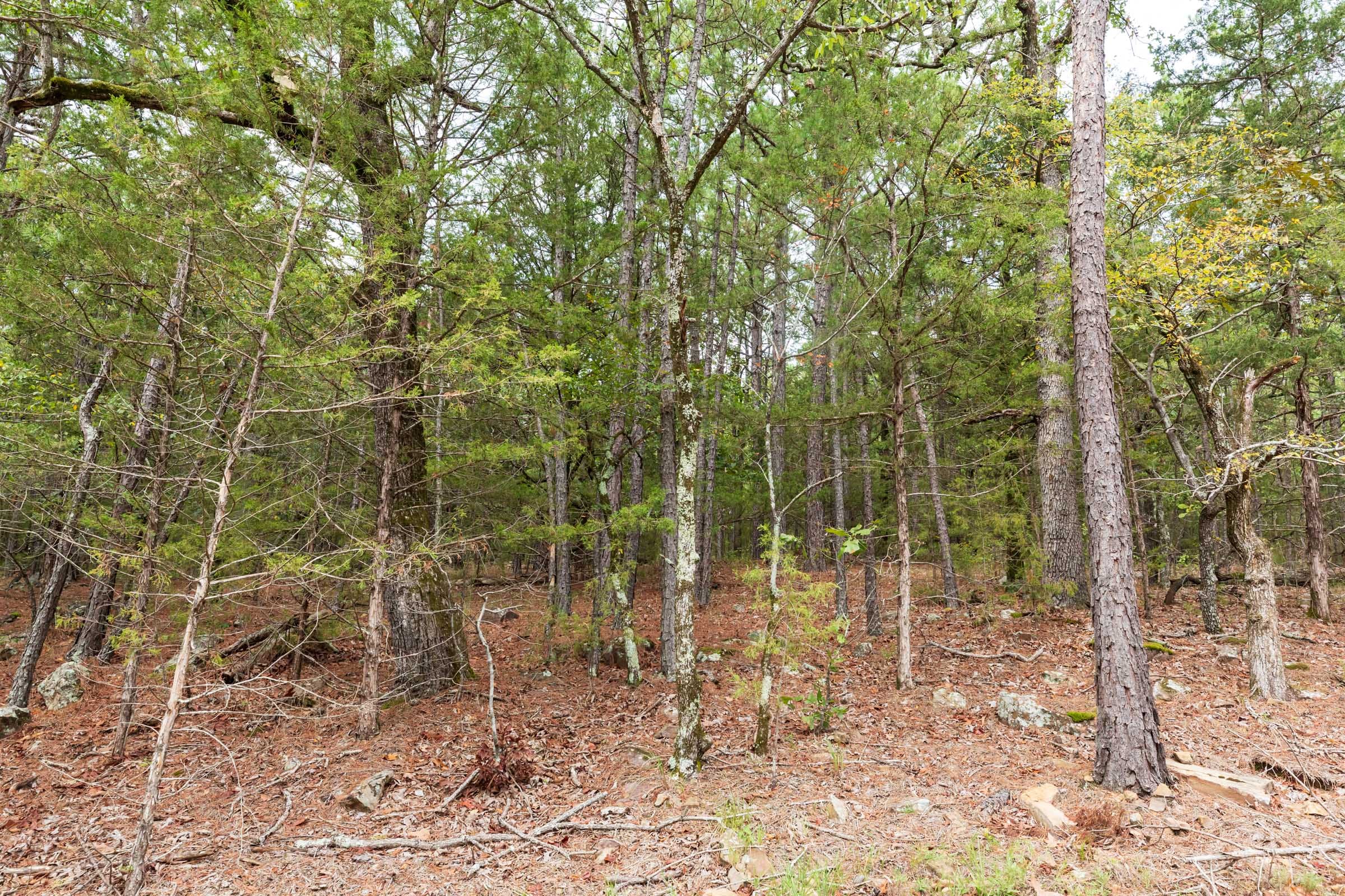 Stone Bridge Phase V Tract 360 photo 3