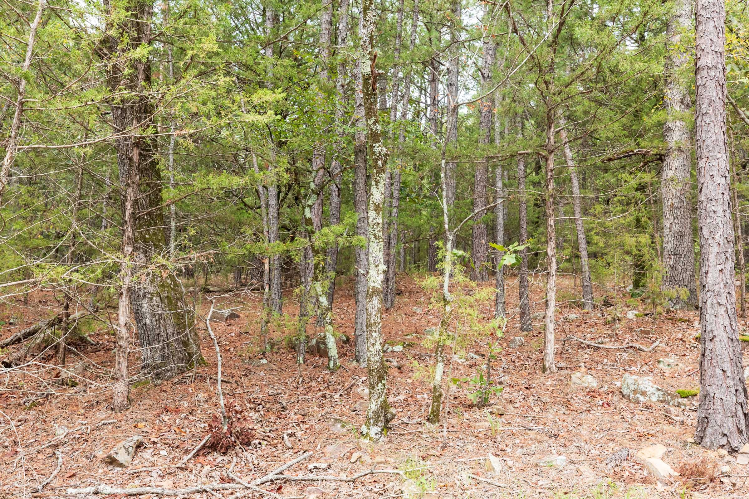 Stone Bridge Phase V Tract 360 photo 4
