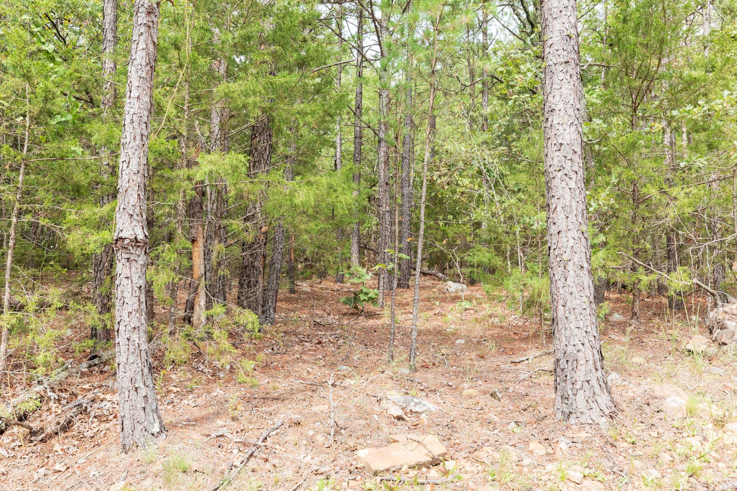 Stone Bridge Phase V Tract 360 photo 5