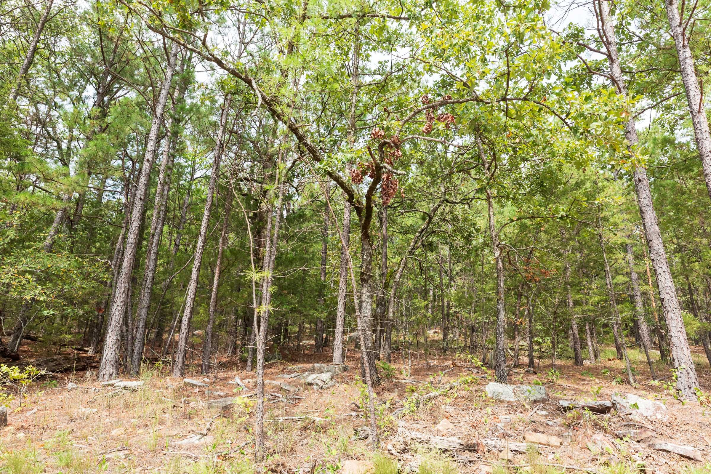 Stone Bridge Phase V Tract 360 photo 6