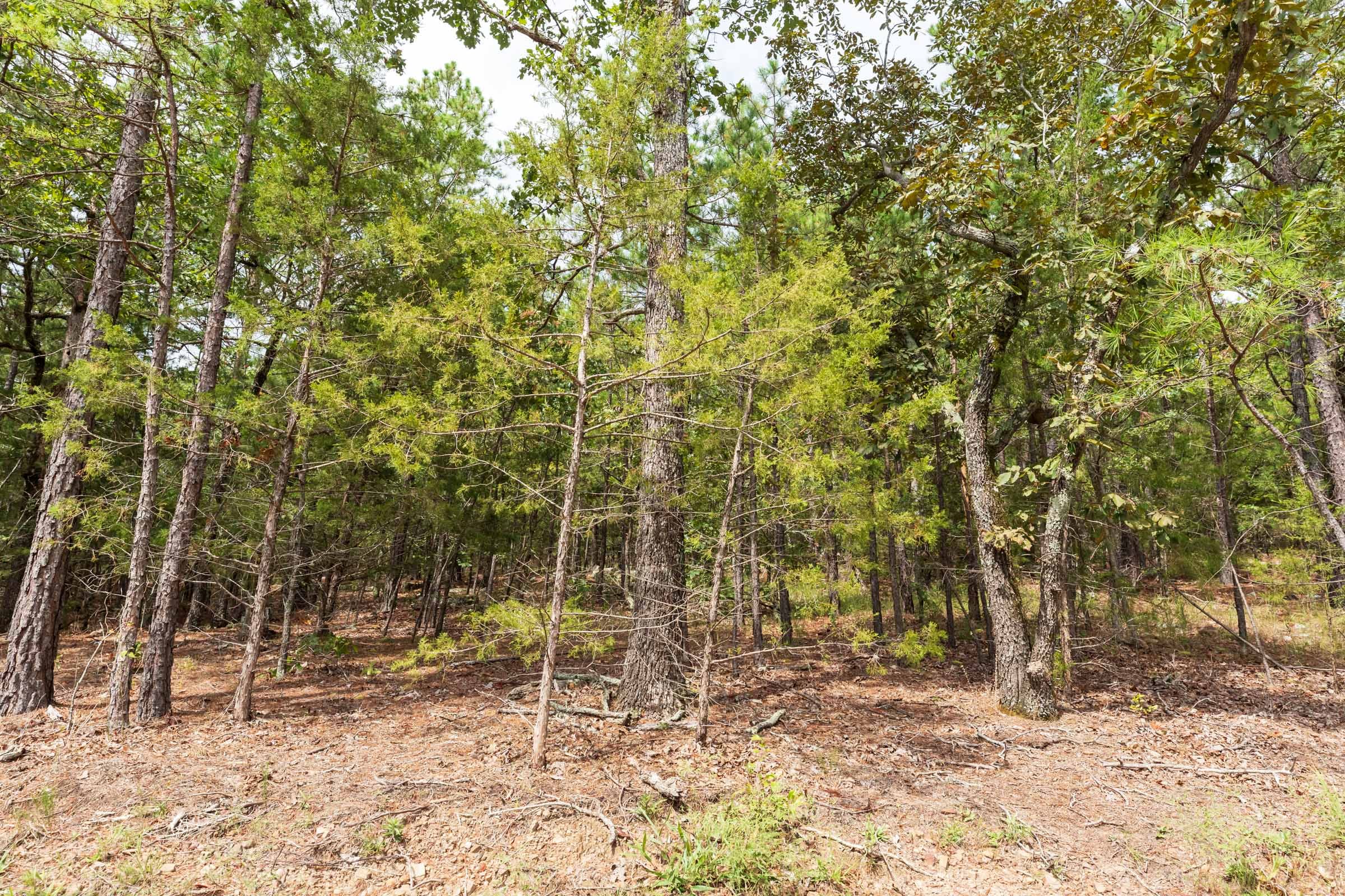 Stone Bridge Phase V Tract 360 photo 7