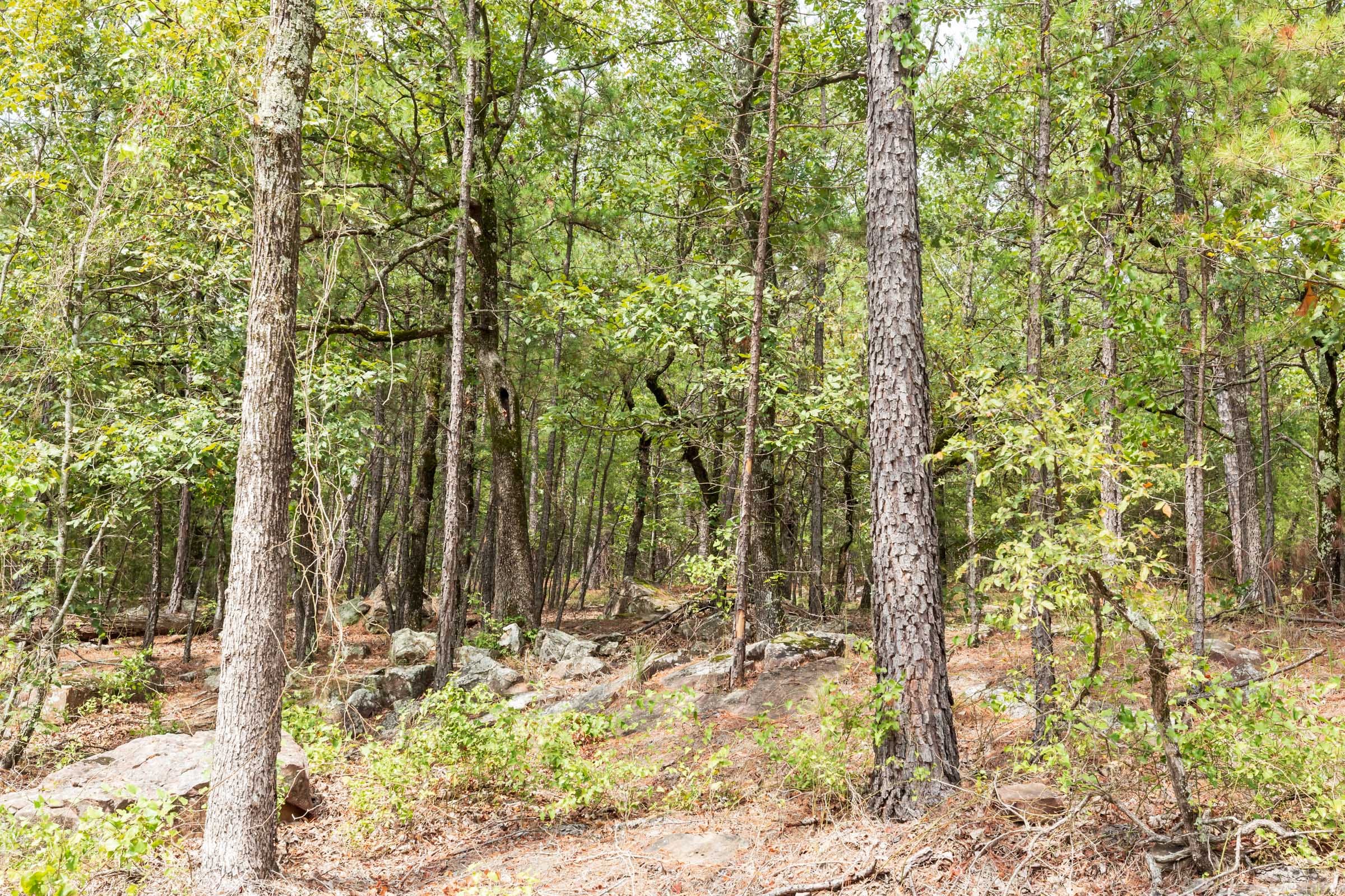 Stone Bridge Phase V Tract 360 photo 9