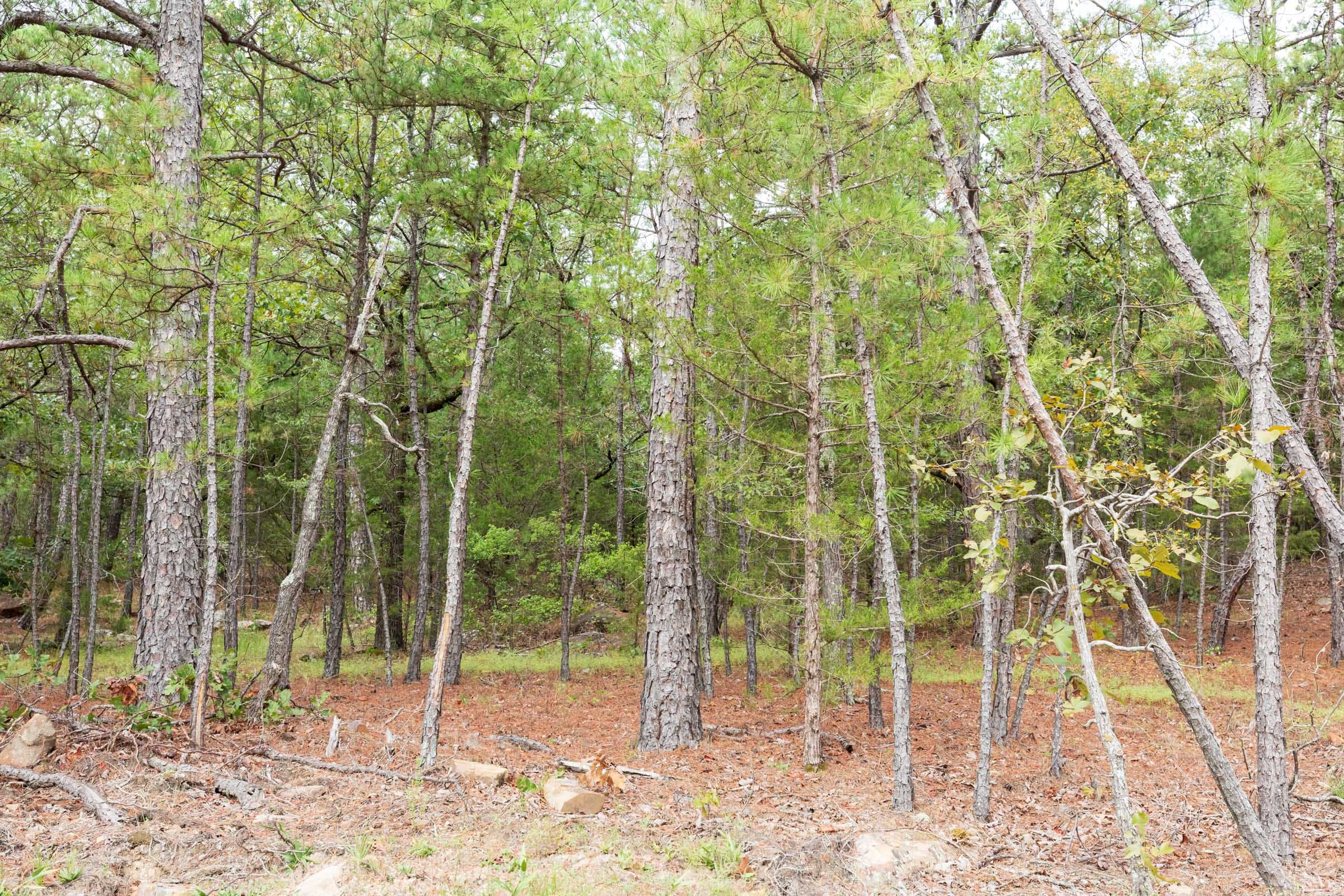 Stone Bridge Phase V Tract 360 photo 10