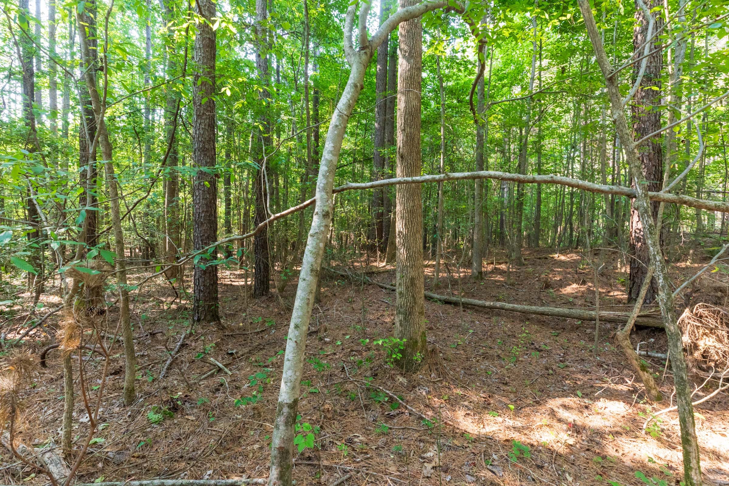 Whiskey Ridge Tract 111 photo 2
