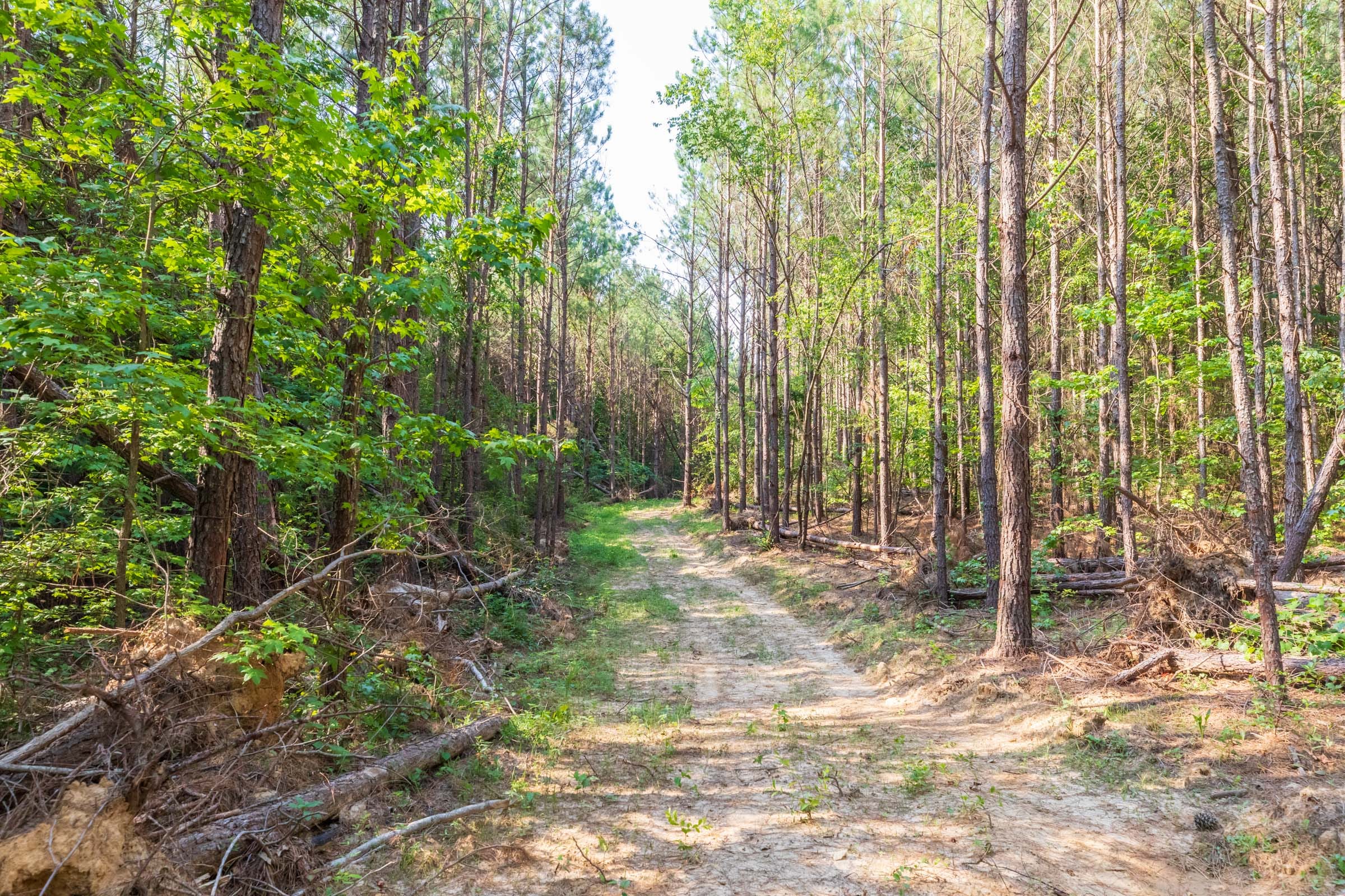 Whiskey Ridge Tract 111 photo 4