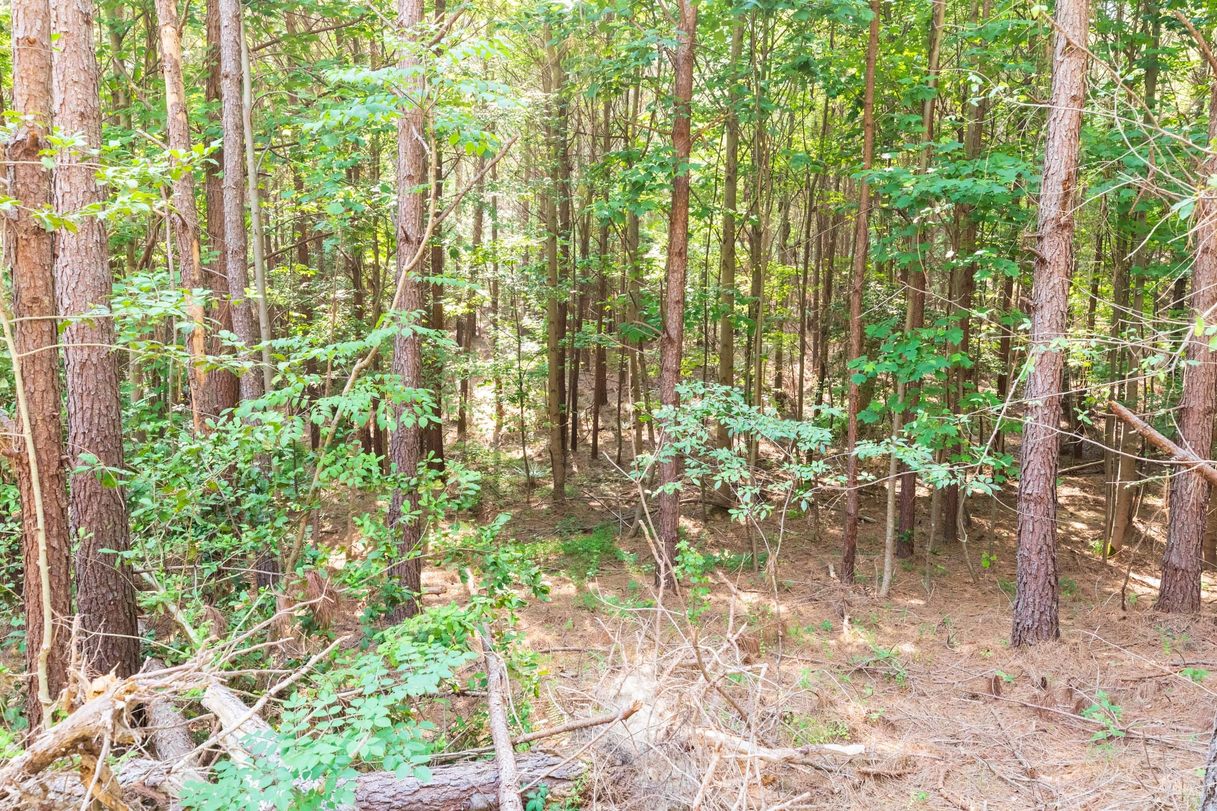 Whiskey Ridge Tract 111 photo 5