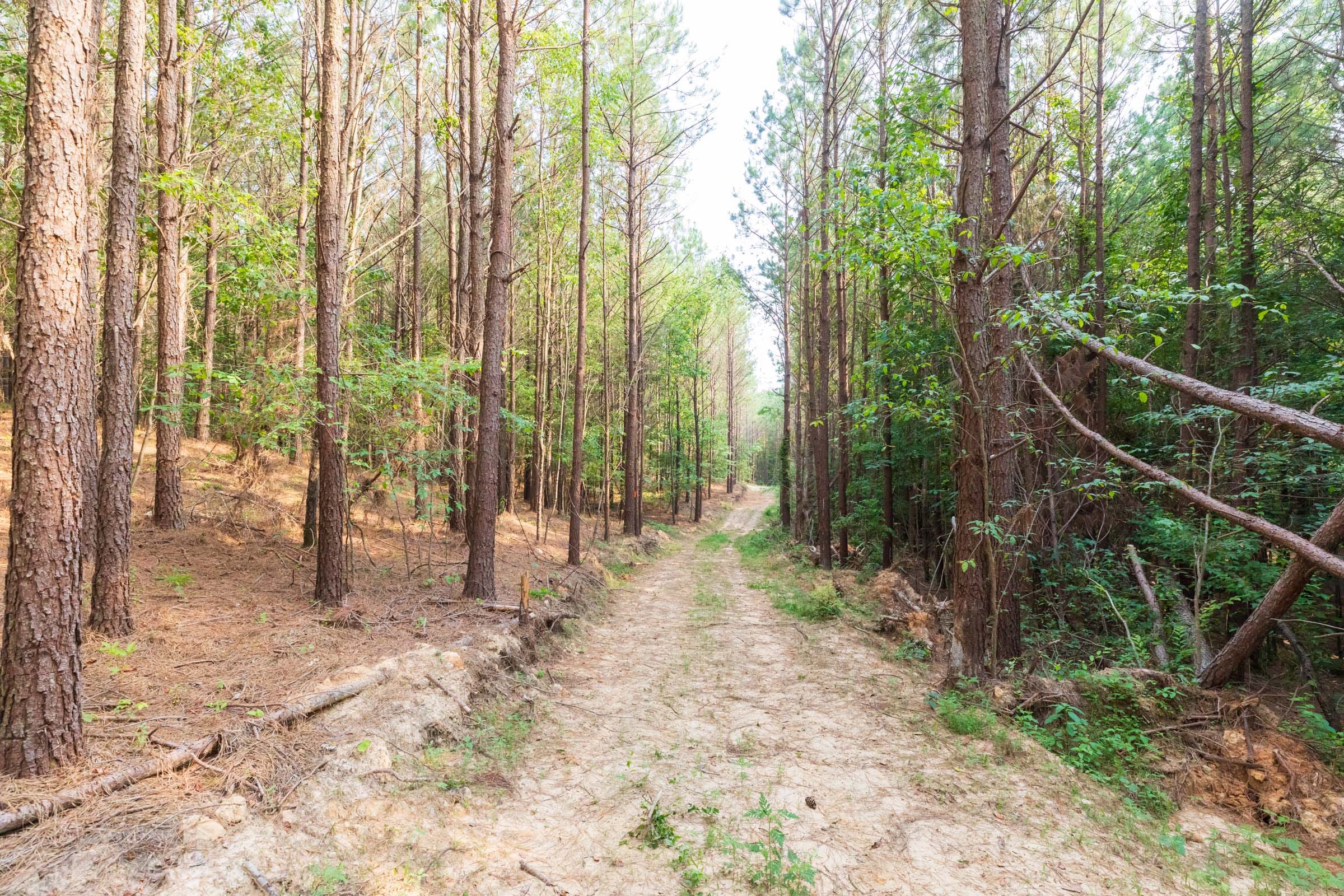 Whiskey Ridge Tract 111 photo 8