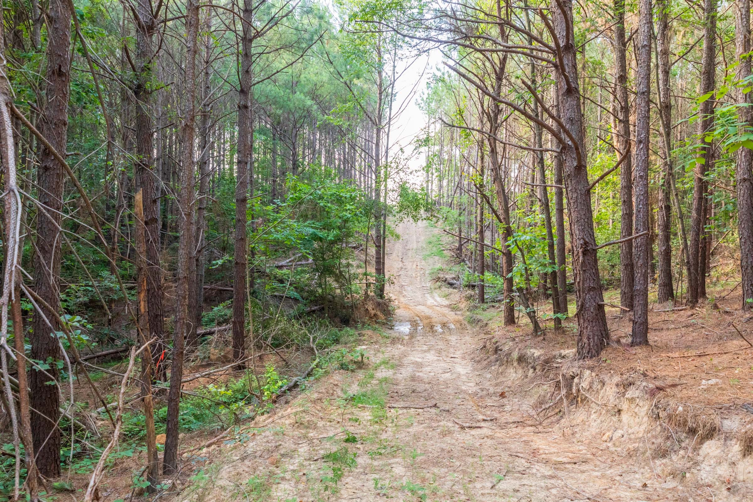 Whiskey Ridge Tract 111 photo 10