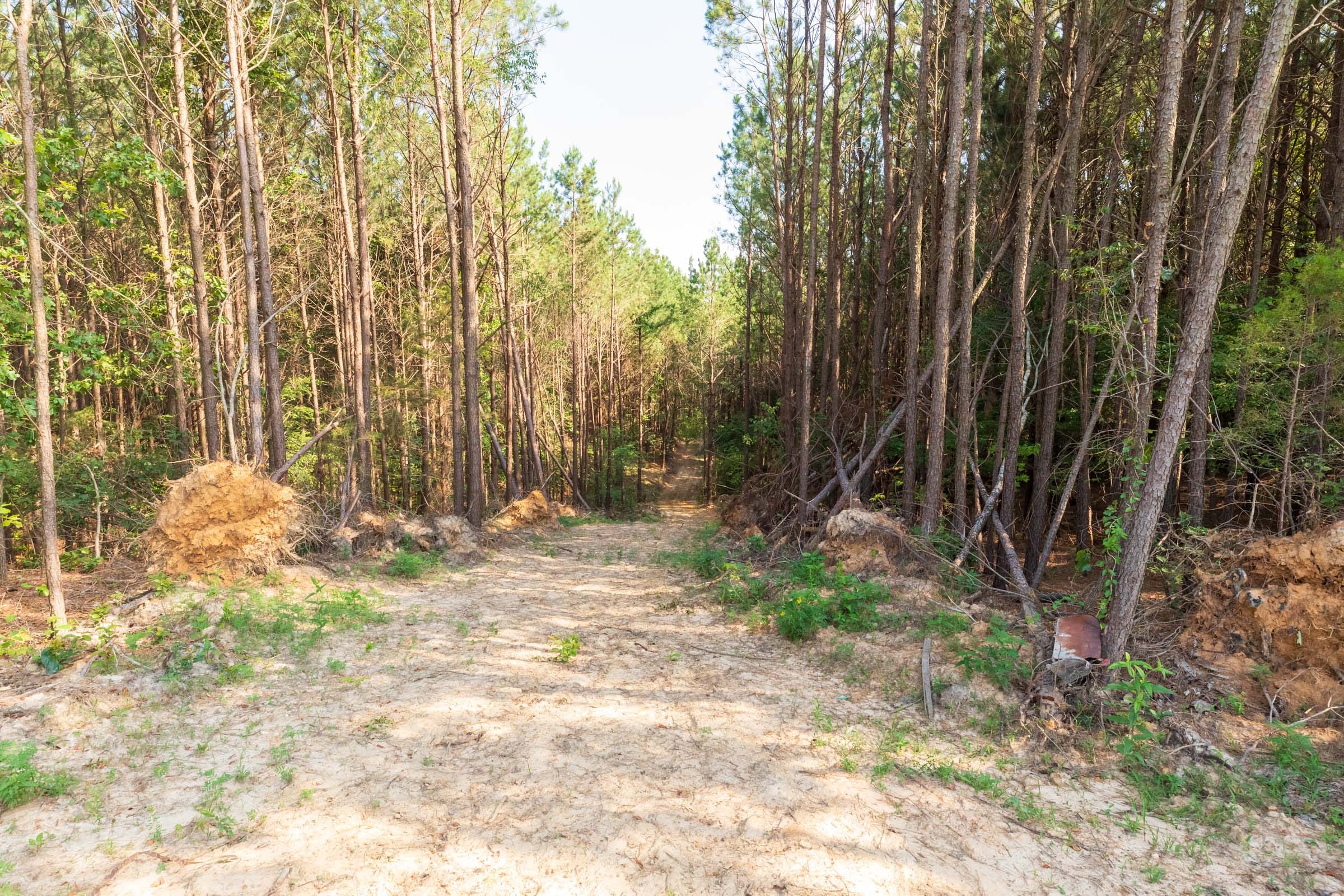 Whiskey Ridge Tract 111 photo 12