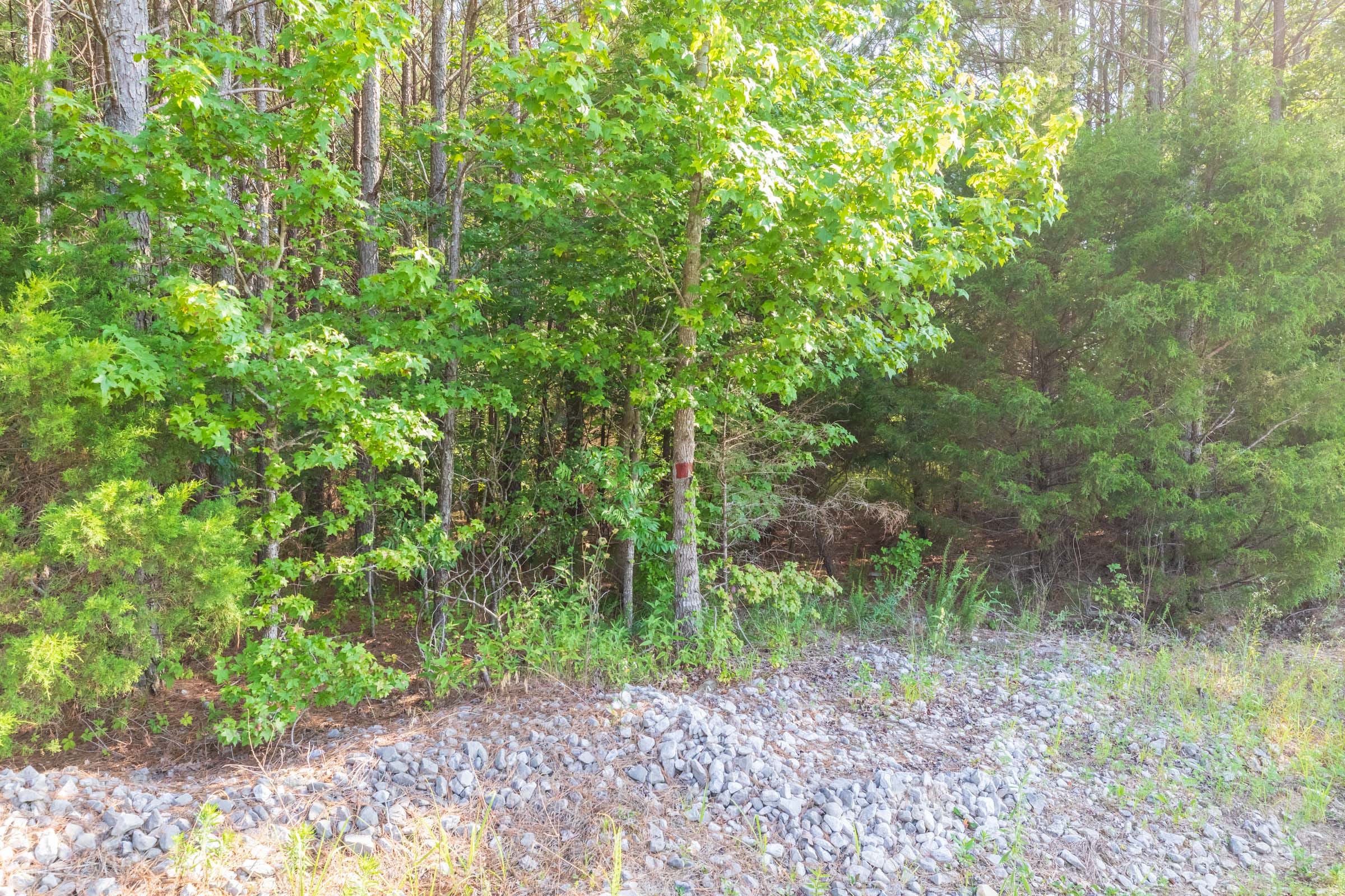 Whiskey Ridge Tract 111 photo 16