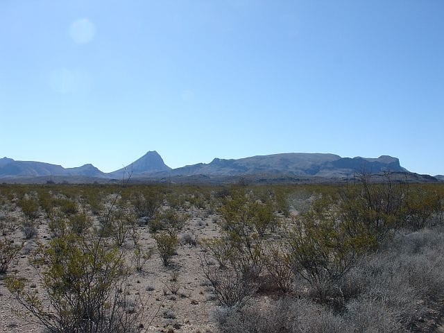 Terlingua Ranch Tract 4319 photo 13