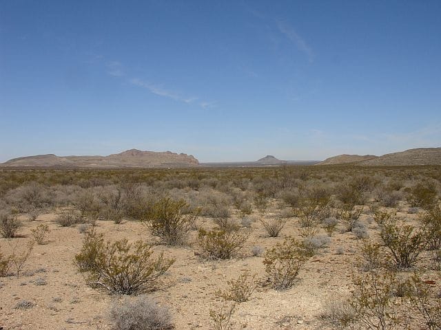 Terlingua Ranch Tract 4319 photo 20