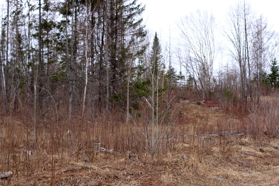 Sunrise Estates Tract 12 photo 1