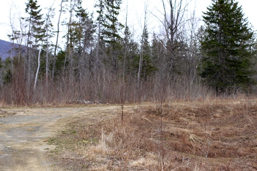 Sunrise Estates Tract 12 photo 2