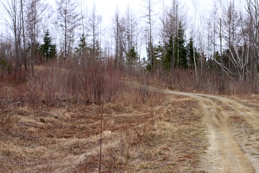 Sunrise Estates Tract 12 photo 3