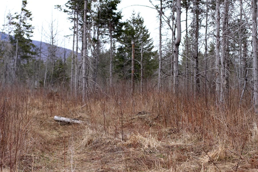 Sunrise Estates Tract 12 photo 6