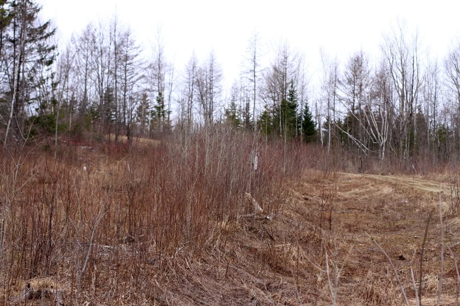 Sunrise Estates Tract 12 photo 7