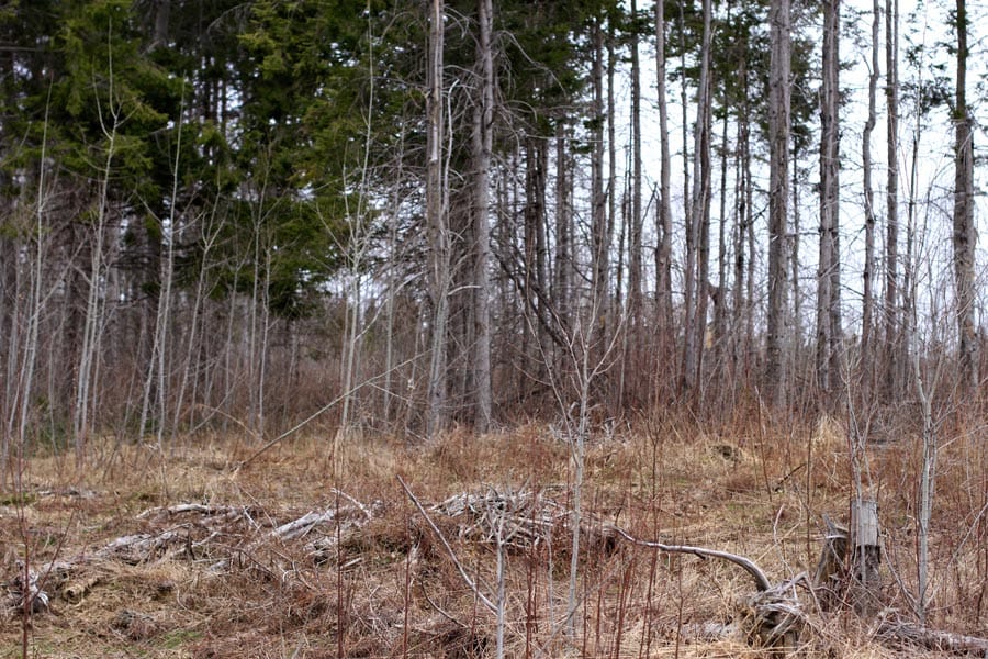 Sunrise Estates Tract 12 photo 10