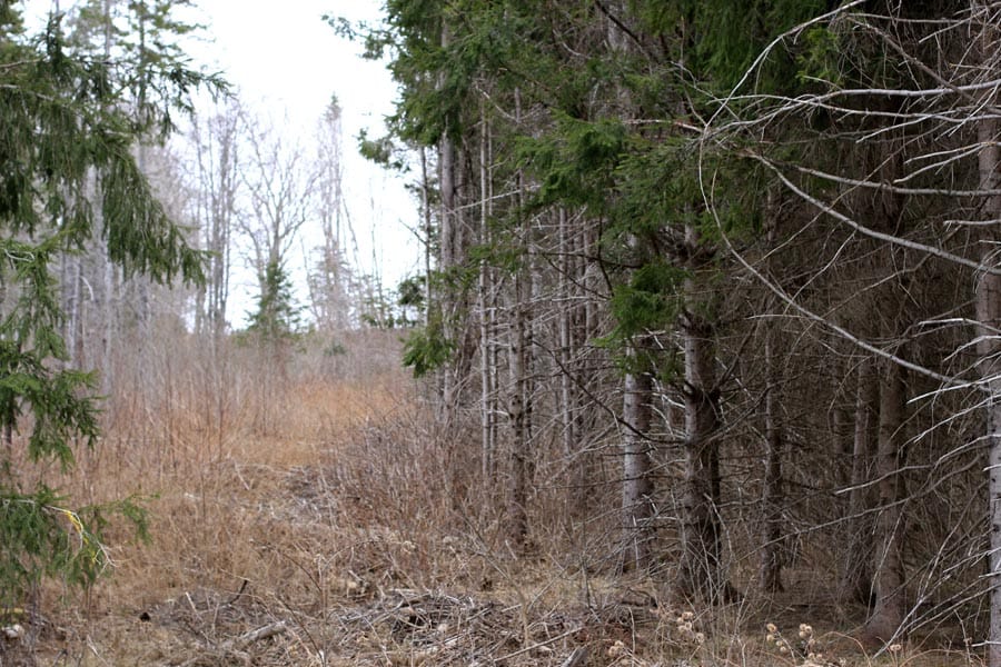 Sunrise Estates Tract 12 photo 12