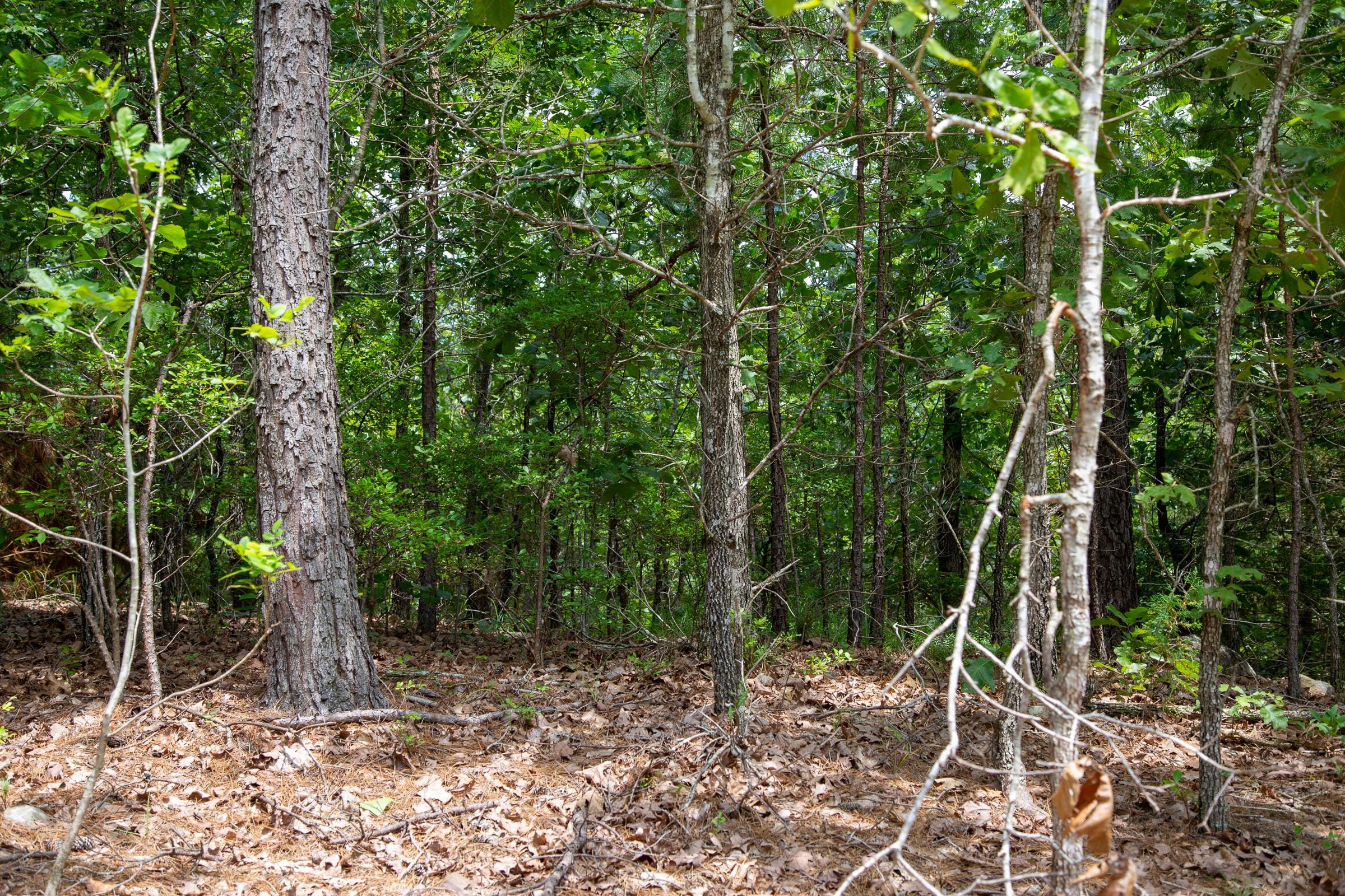 Tyler Stone Ranch Tract 52 photo 2