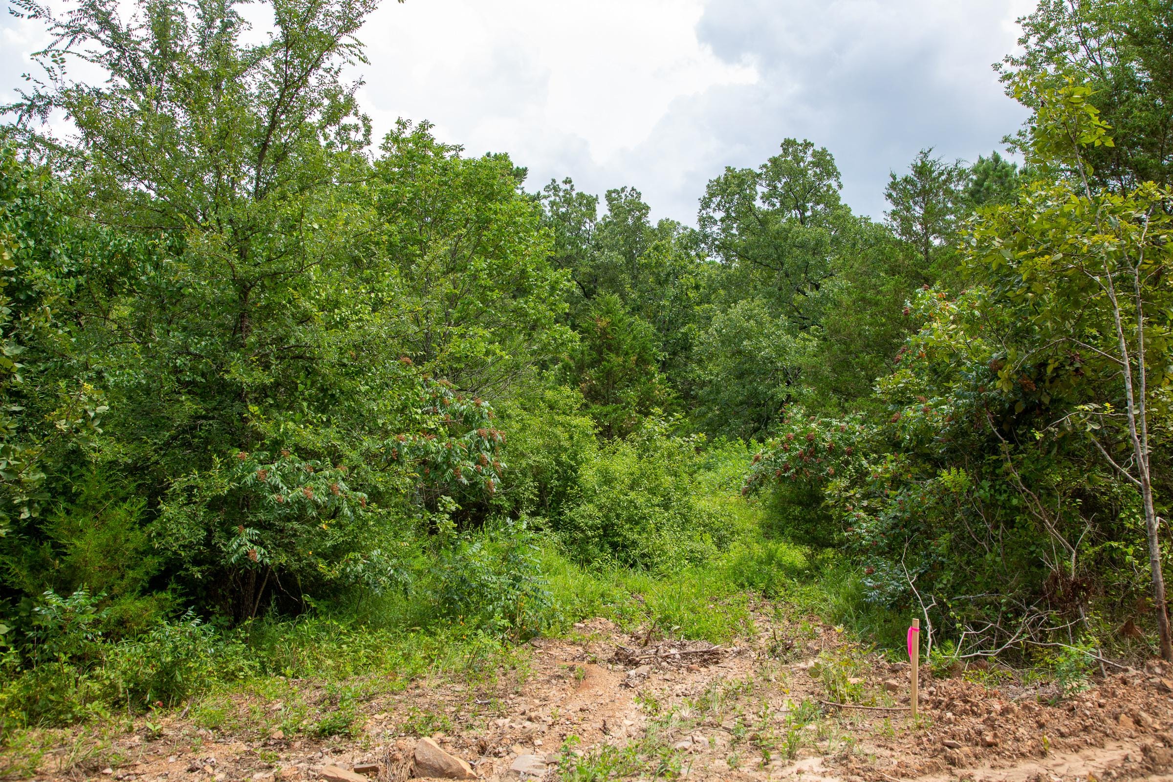 Tyler Stone Ranch Tract 52 photo 5