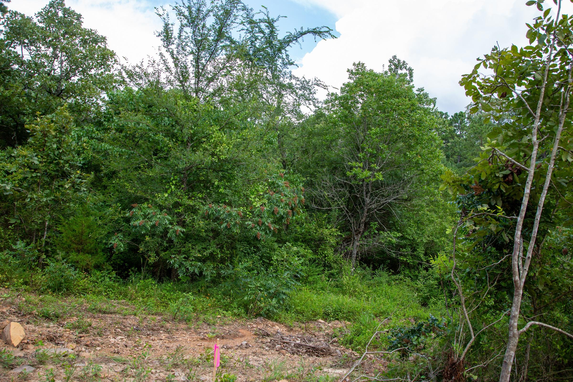 Tyler Stone Ranch Tract 52 photo 7