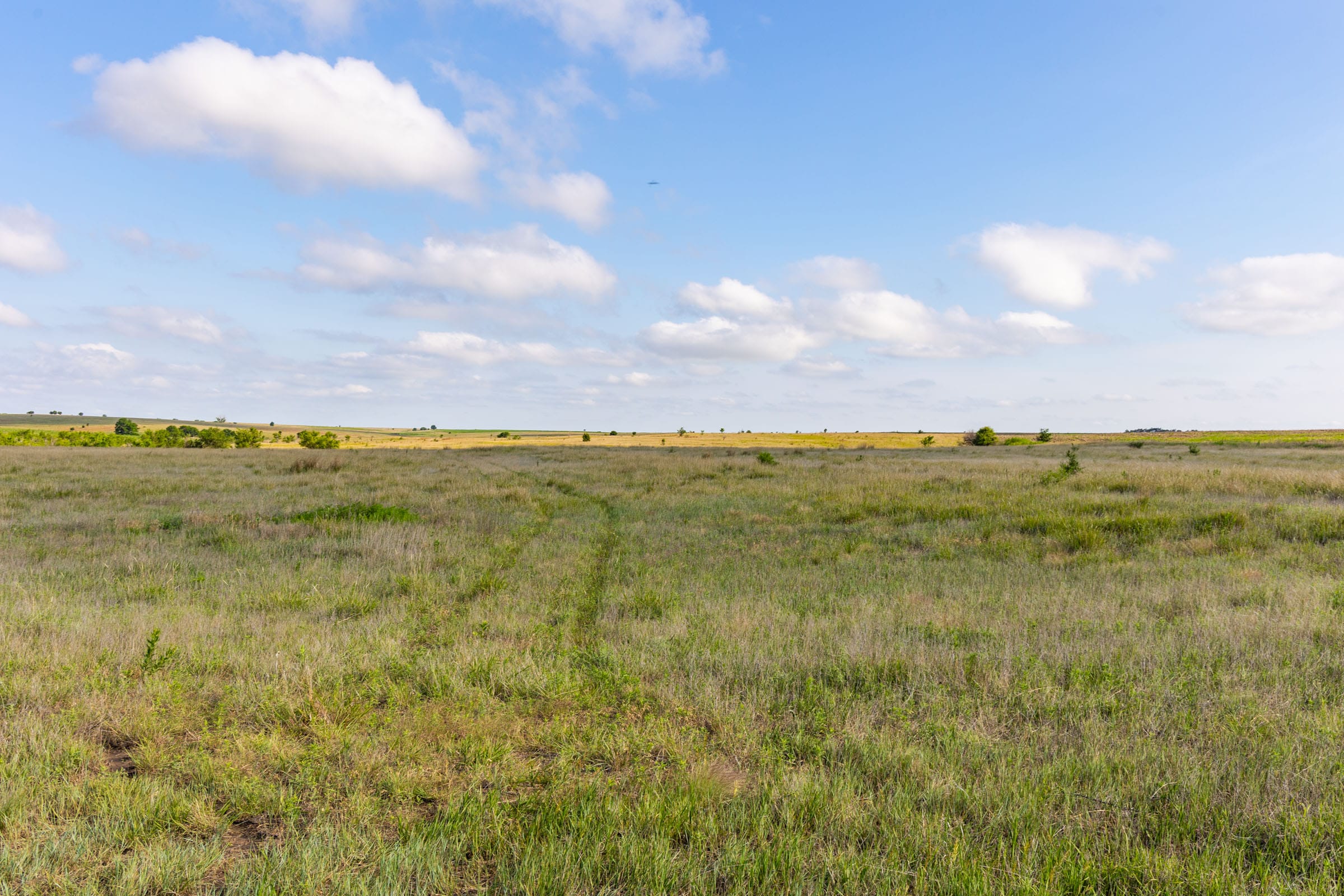 Crandall's Corner Tract 1 photo 8