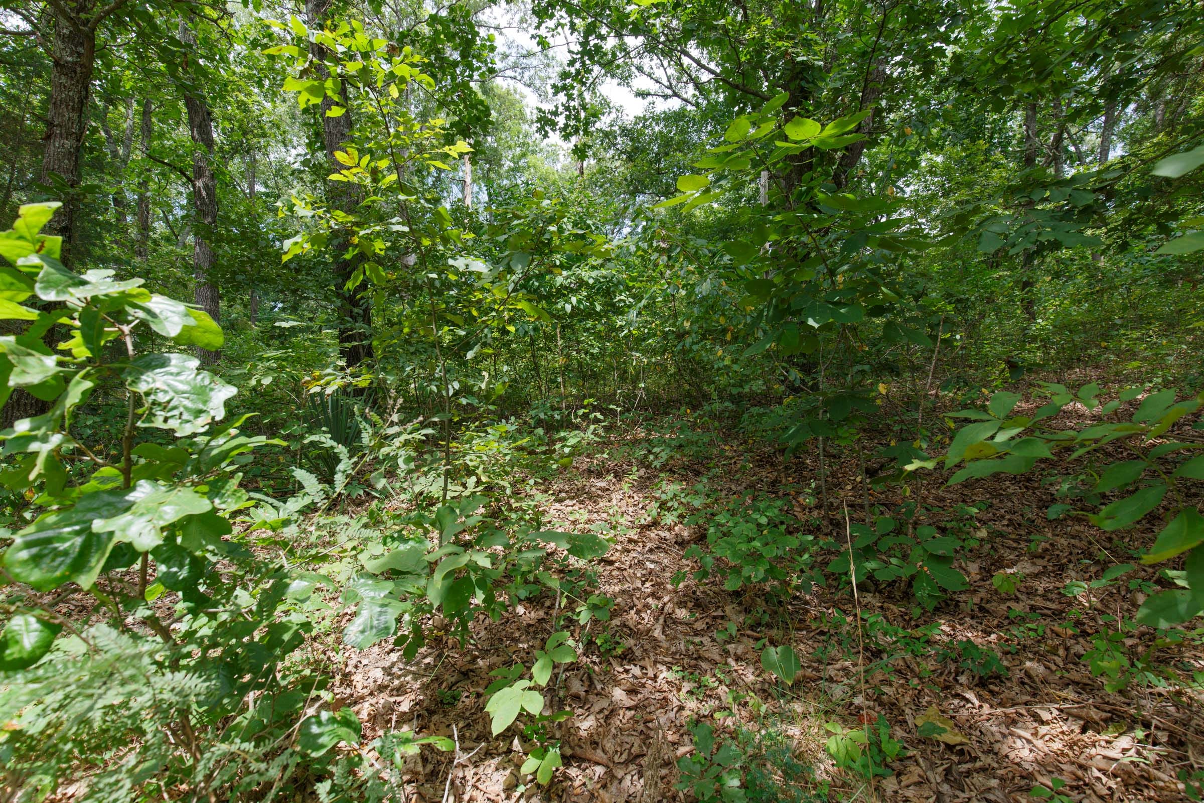 Spring Lake Plat 5 Tract 250 photo 7