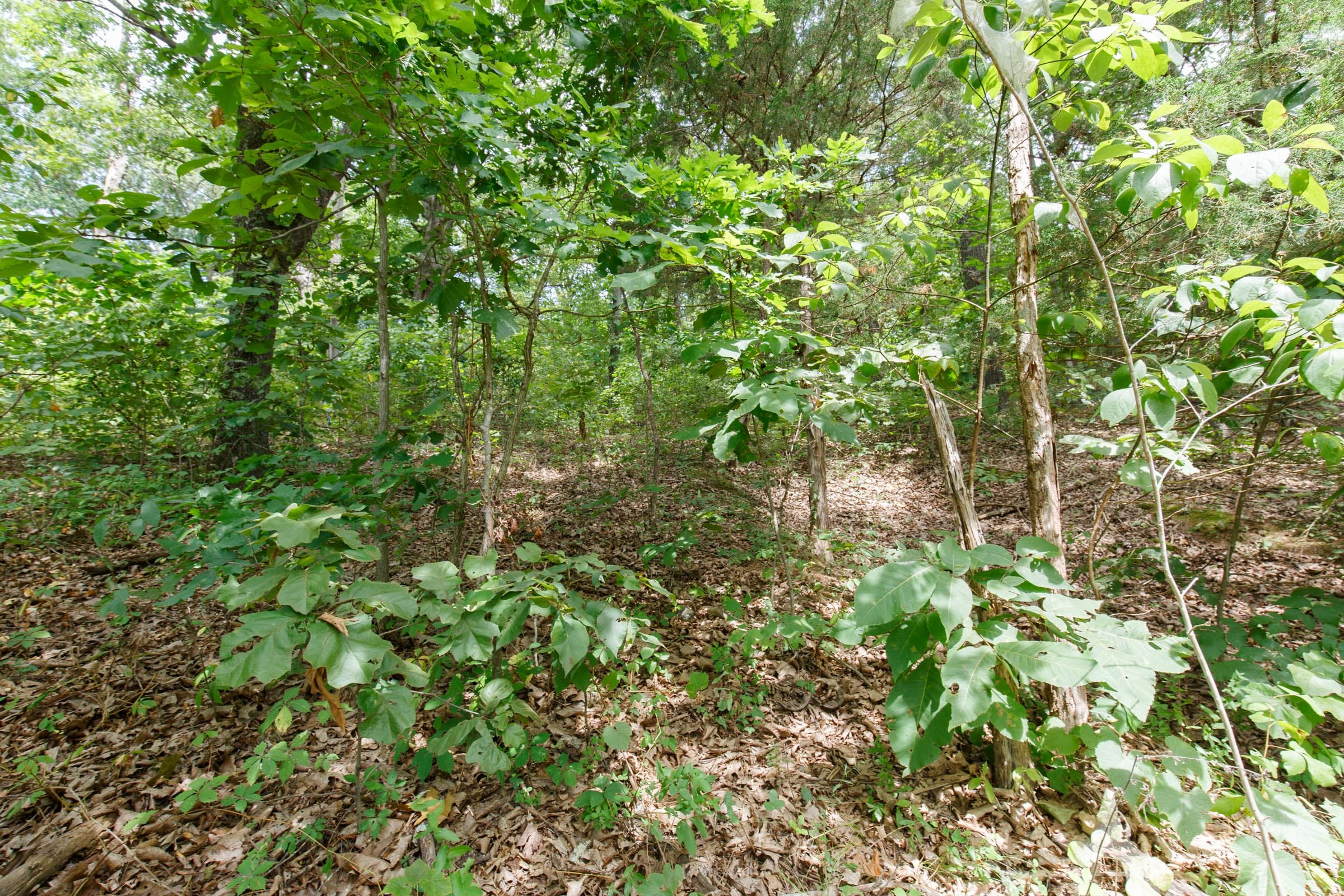 Spring Lake Plat 5 Tract 250 photo 6