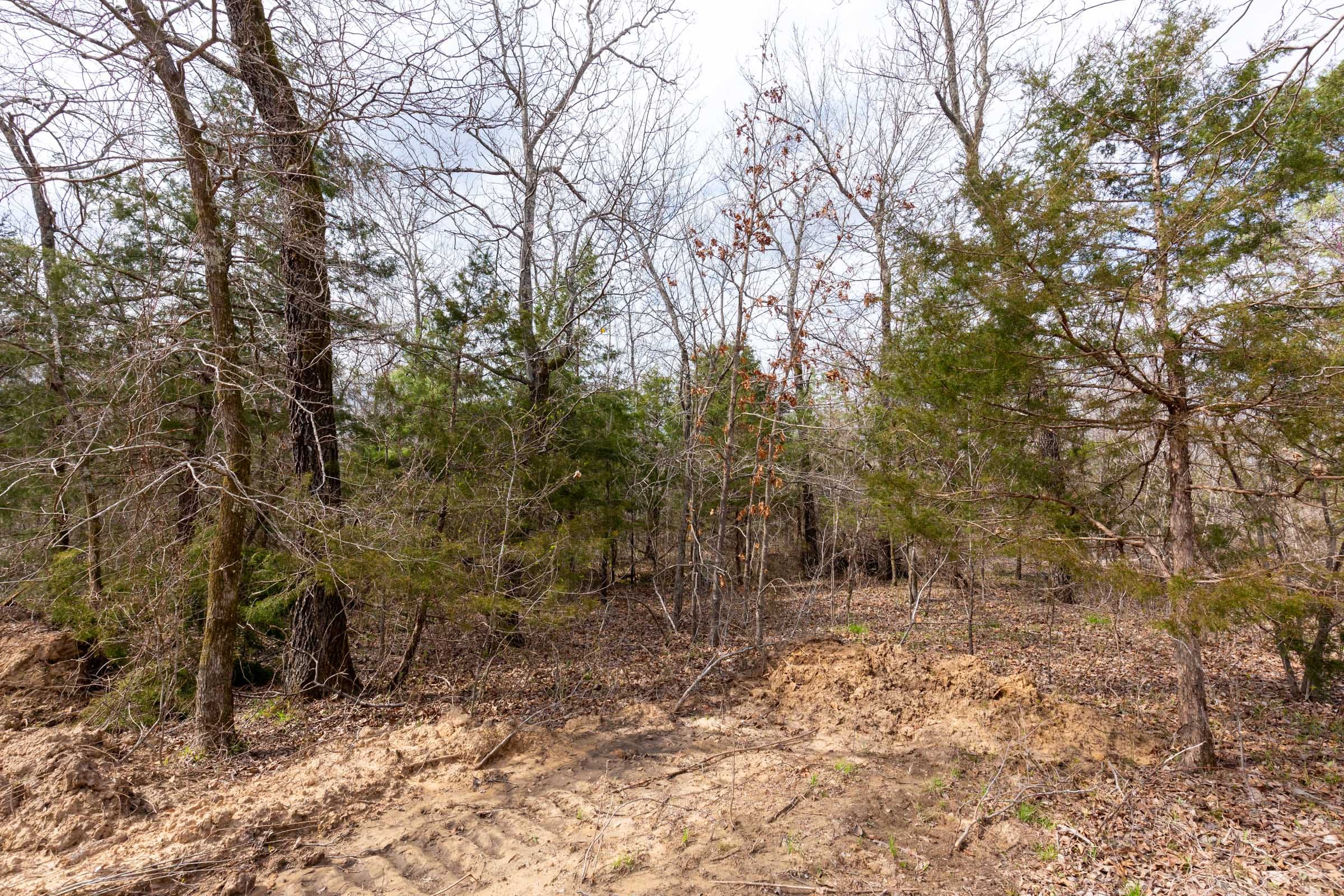 Stone Bridge Phase III Tract 153 photo 5