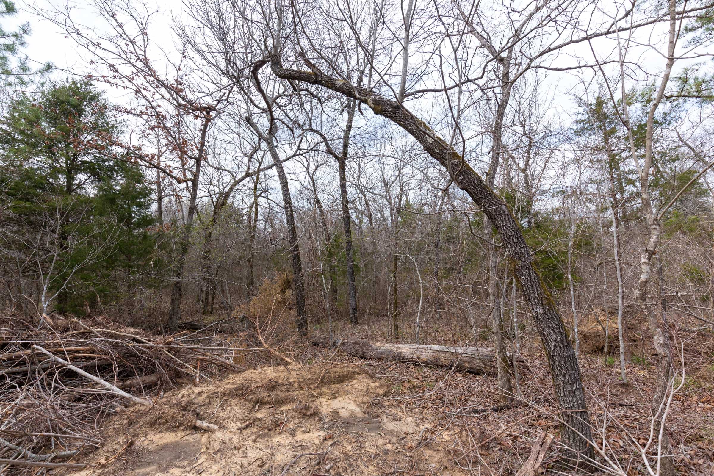 Stone Bridge Phase III Tract 153 photo 6