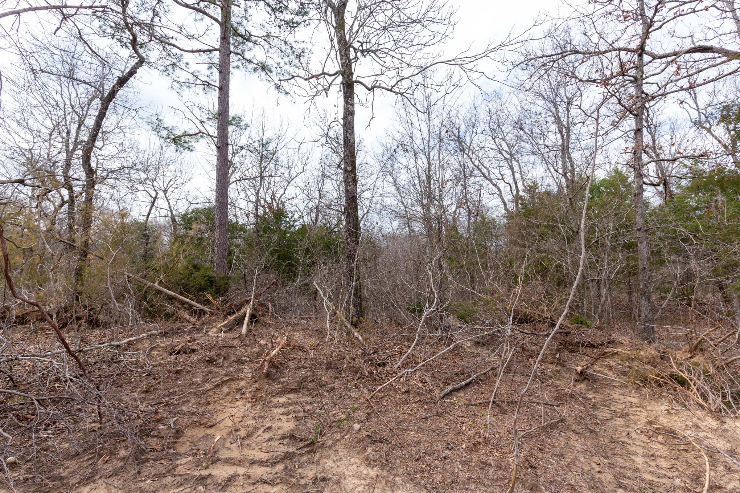 Stone Bridge Phase III Tract 153 photo 8