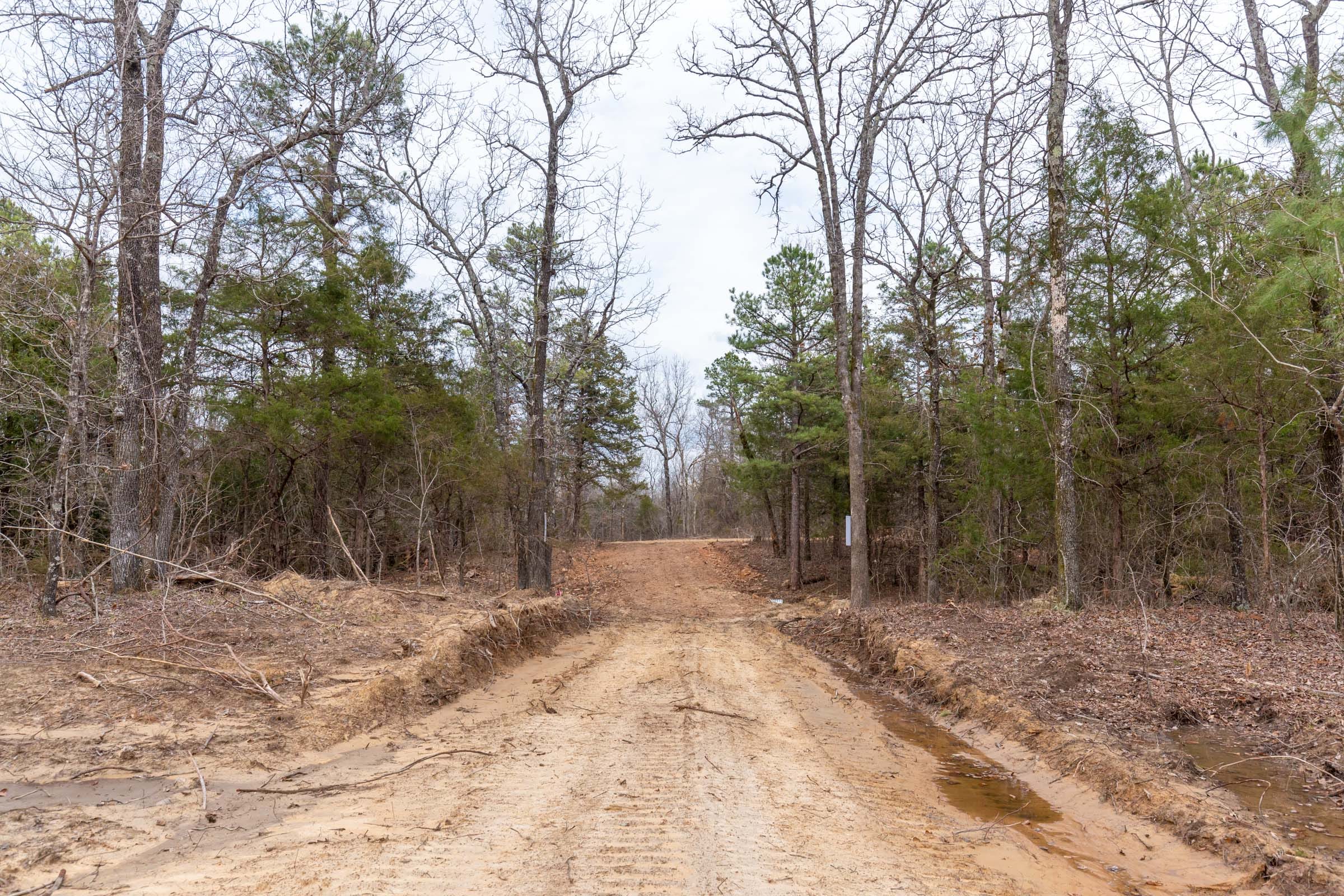 Stone Bridge Phase III Tract 153 photo 7