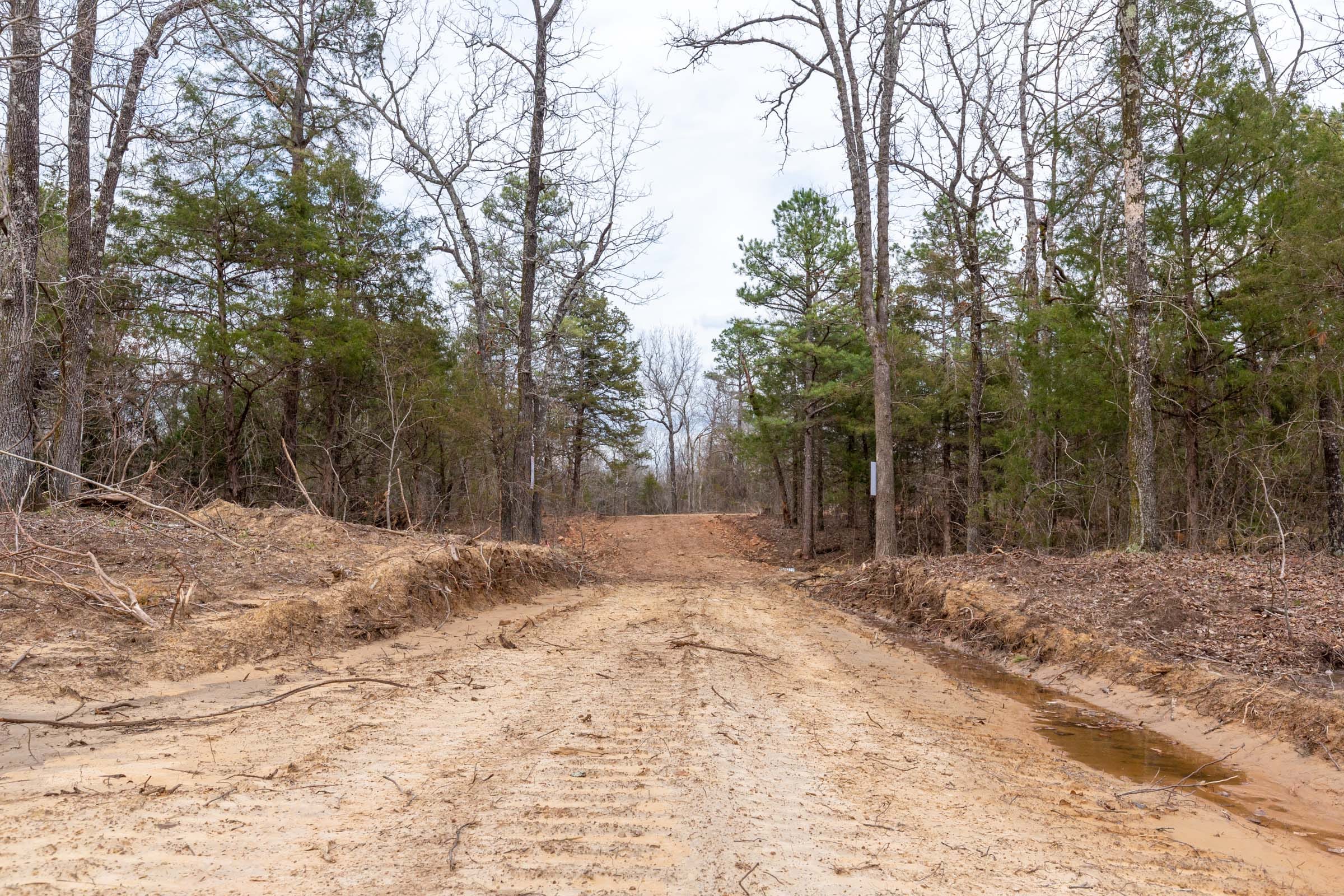 Stone Bridge Phase III Tract 153 photo 12