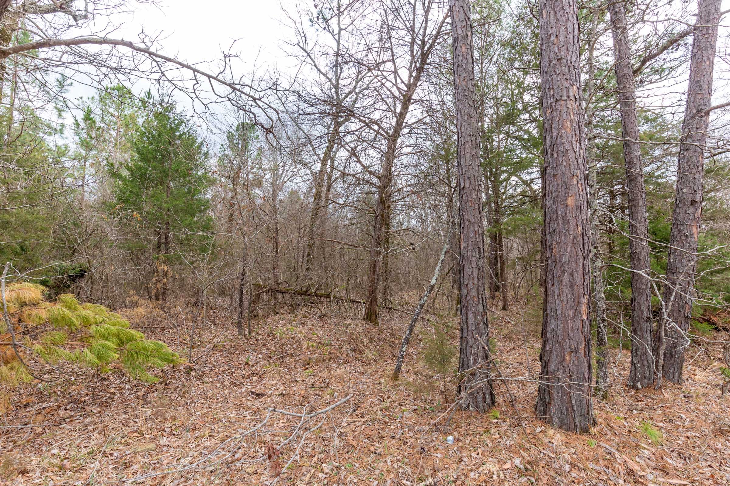 Stone Bridge Phase III Tract 153 photo 10