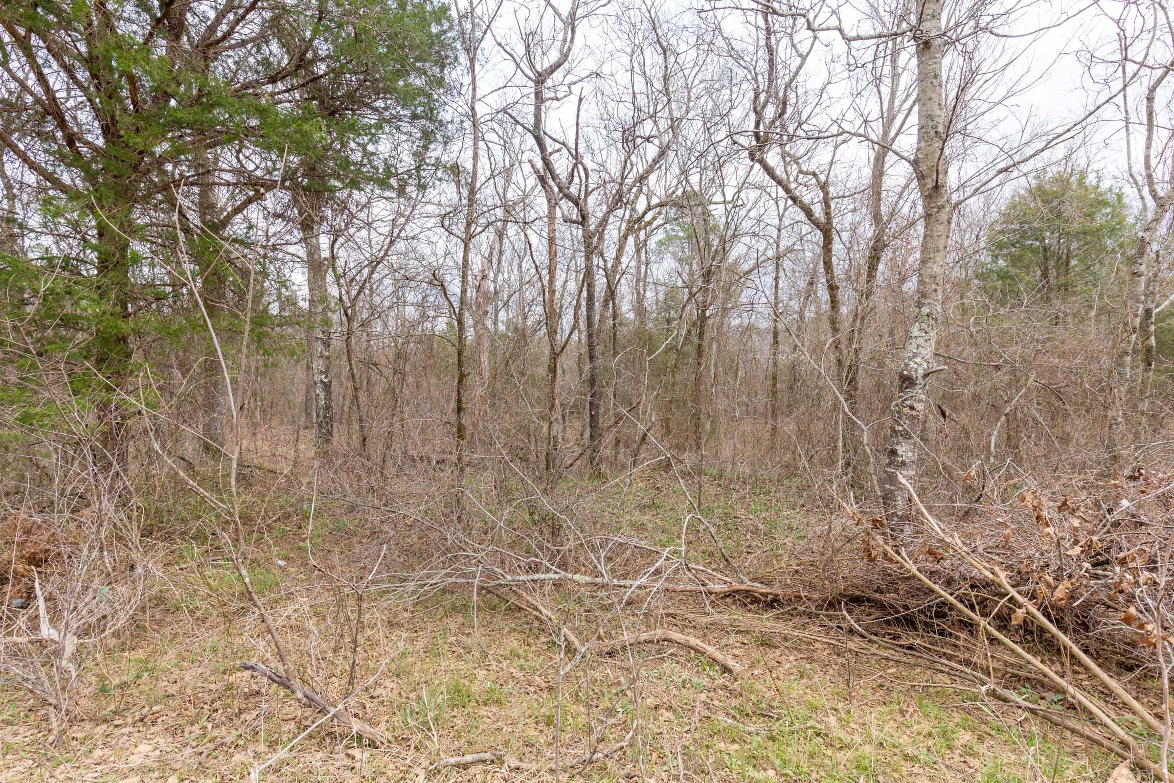 Stone Bridge Phase III Tract 153 photo 13