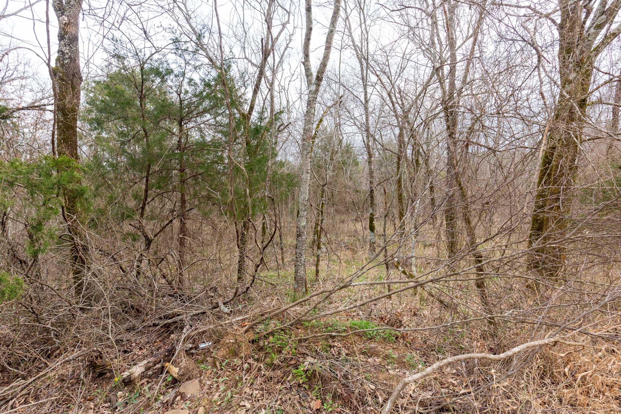 Stone Bridge Phase III Tract 153 photo 14