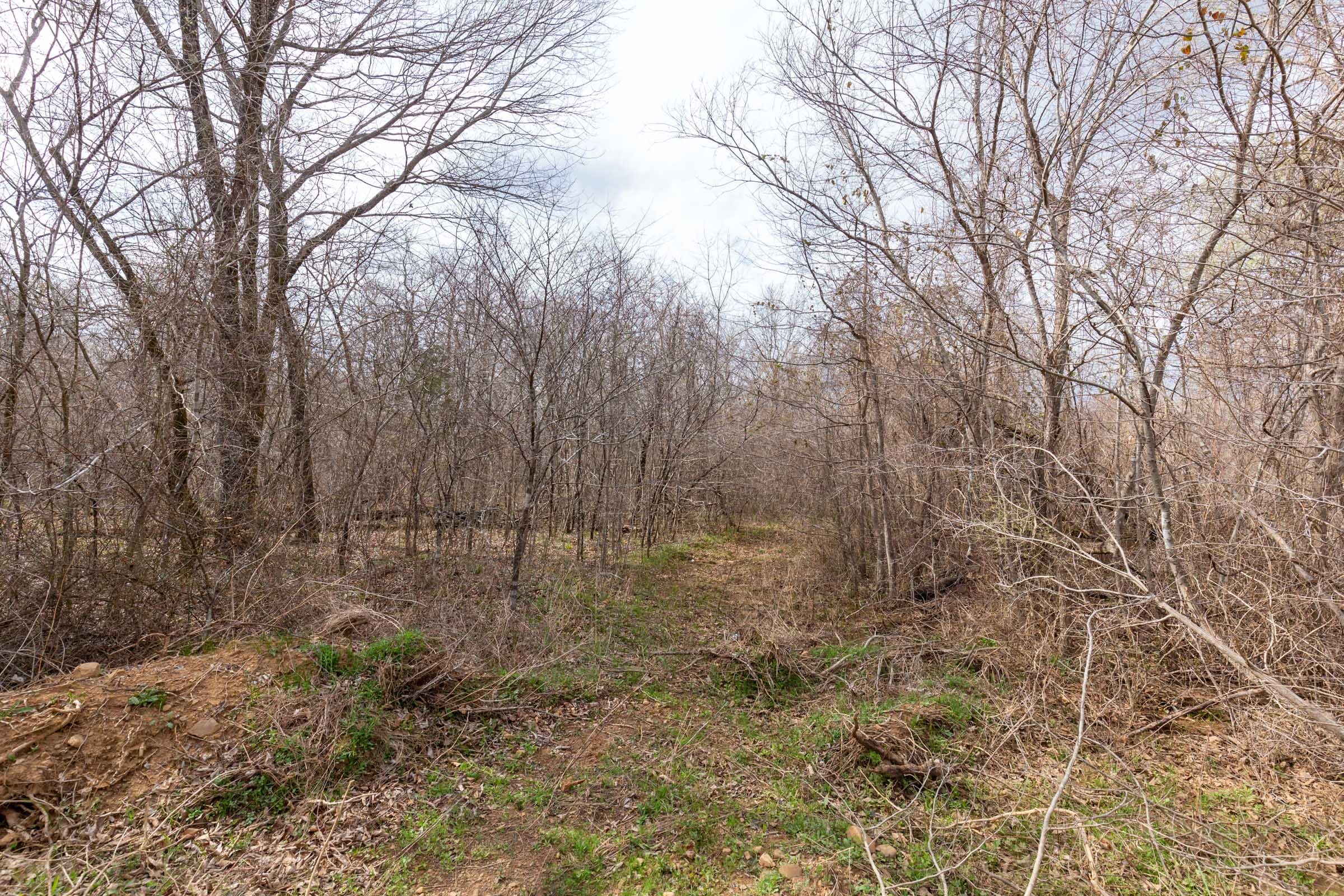 Stone Bridge Phase III Tract 153 photo 15