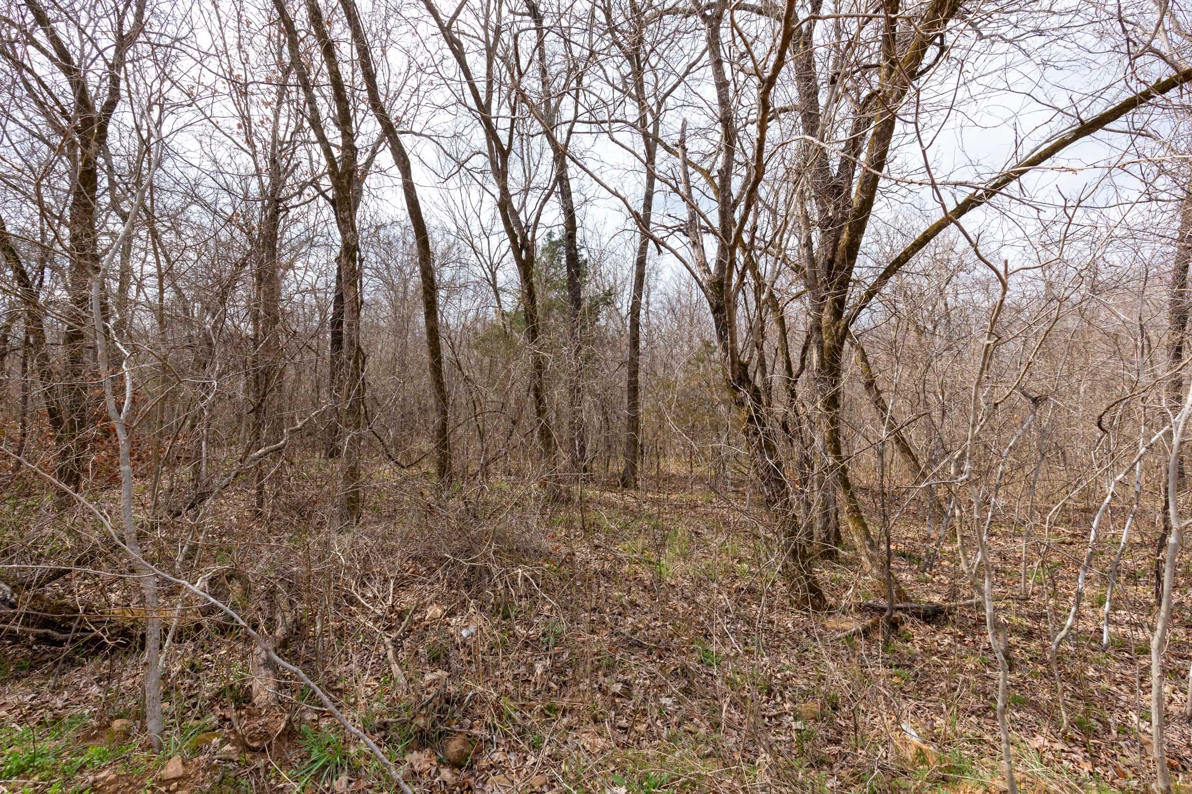 Stone Bridge Phase III Tract 153 photo 16