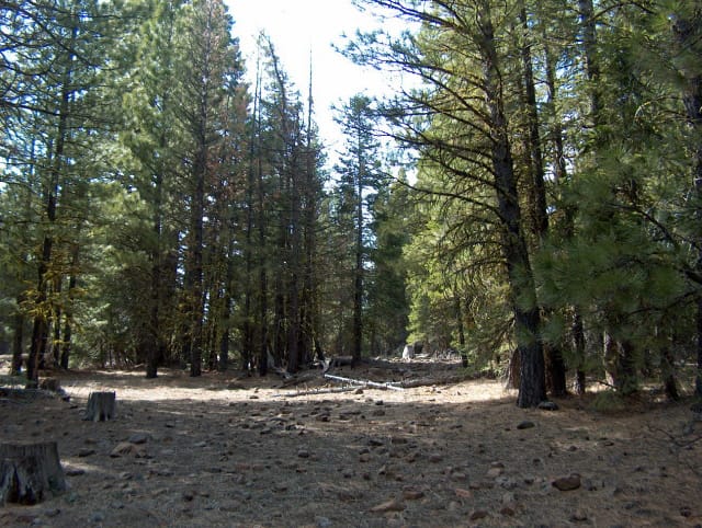 California Pines Tract 9 photo 1