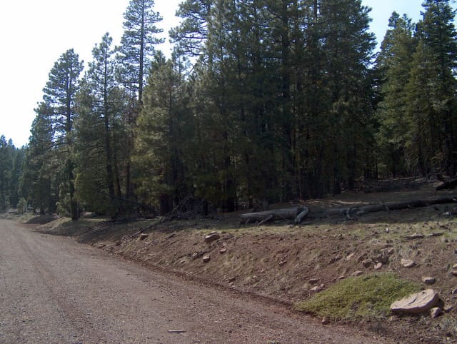 California Pines Tract 9 photo 4