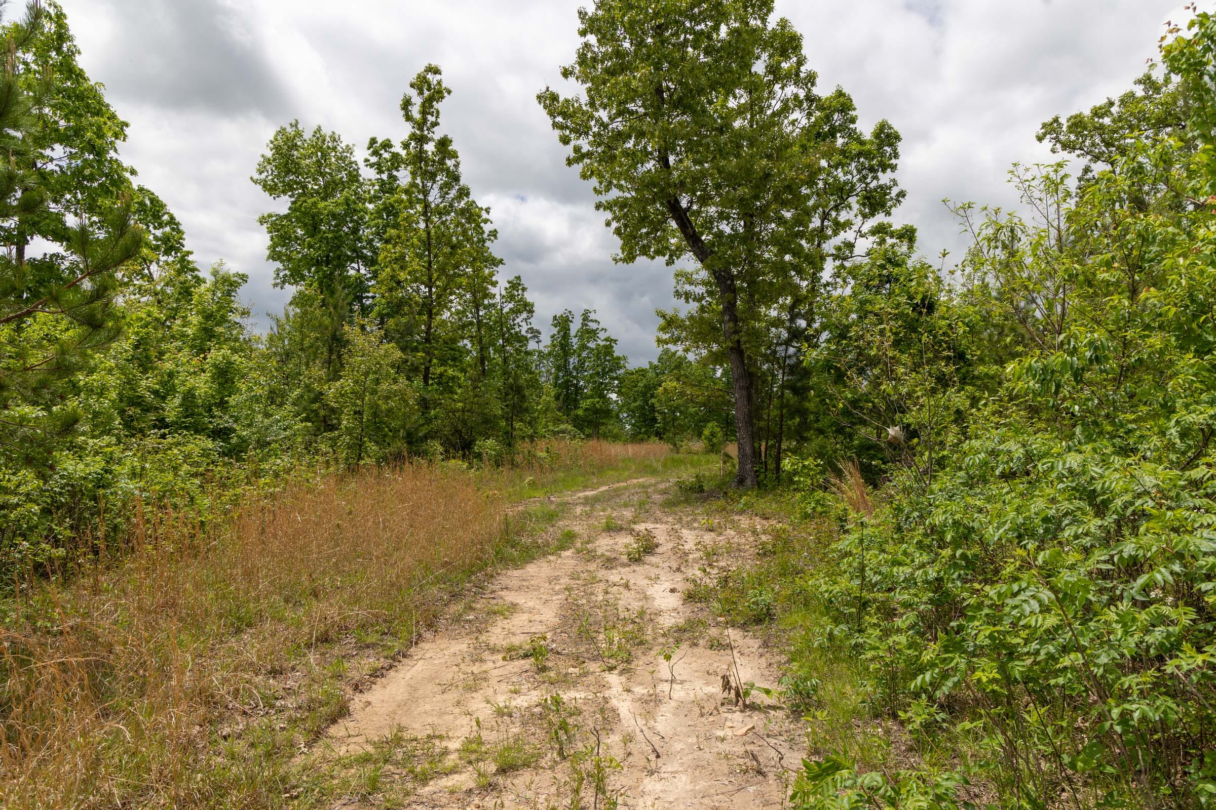 Sleepy Hollow Phase II Tract 77 photo 2