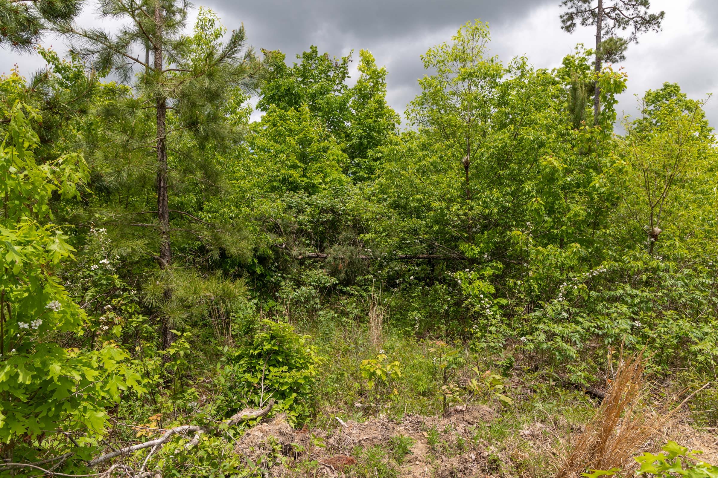 Sleepy Hollow Phase II Tract 77 photo 8