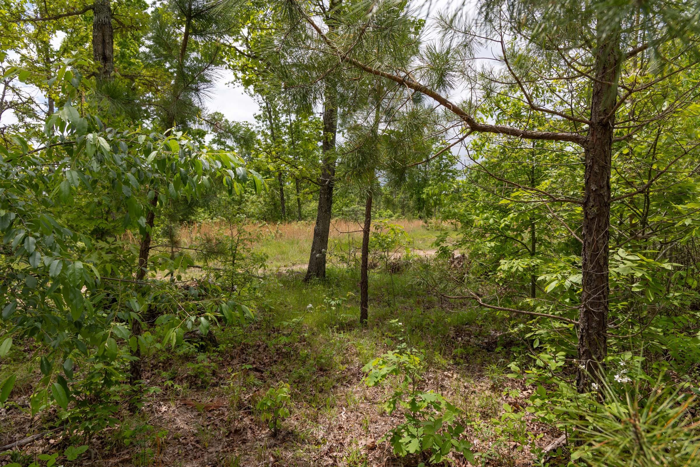 Sleepy Hollow Phase II Tract 77 photo 1