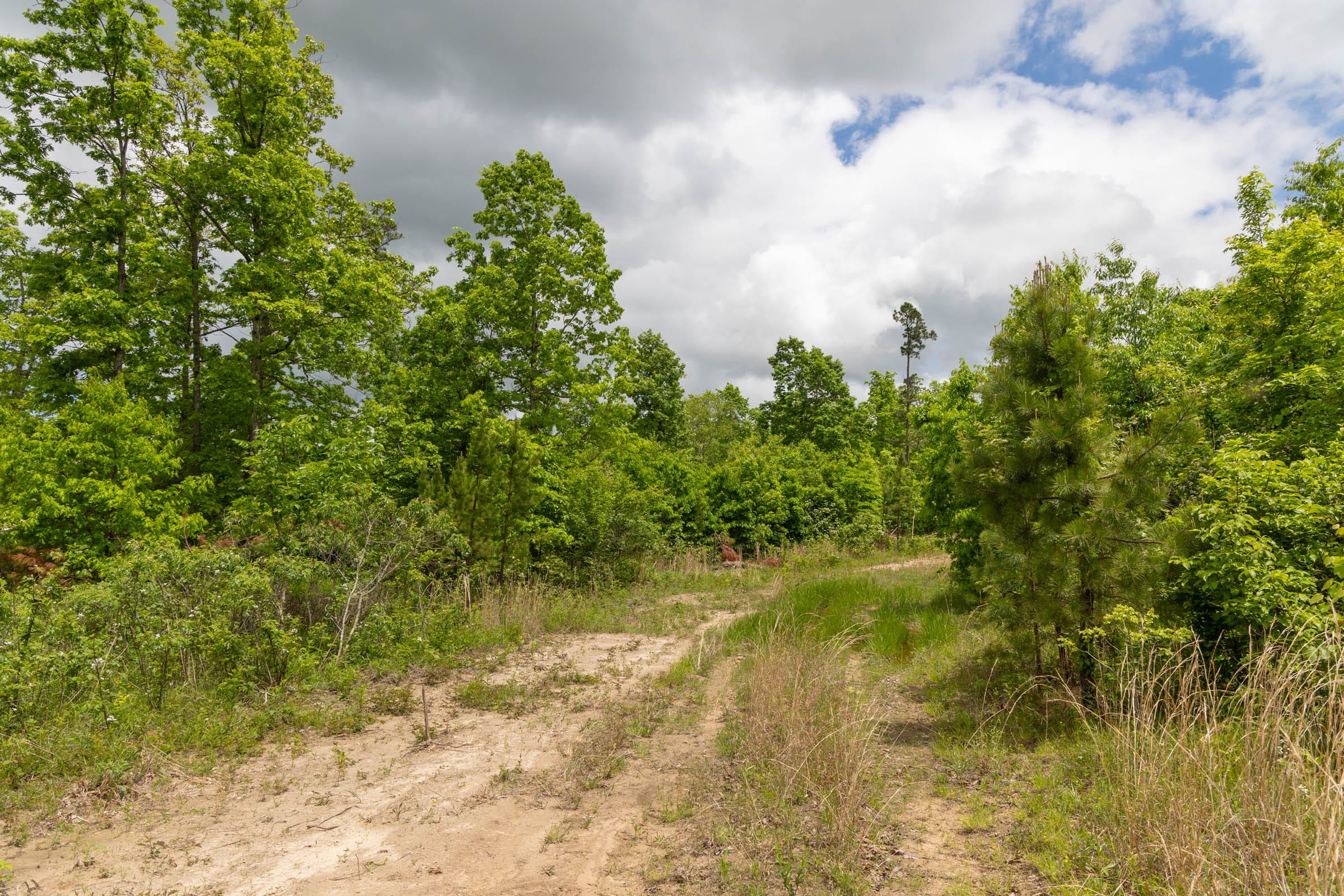 Sleepy Hollow Phase II Tract 77 photo 7